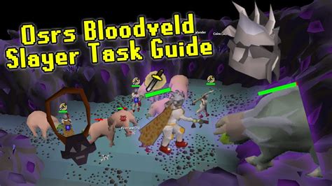 Bloodveld osrs slayer - Descend the ladder and enter the room where you'll find the Mutated Bloodvelds. 💀🏰 Prepare for battle by activating Protect from Melee, then place your …